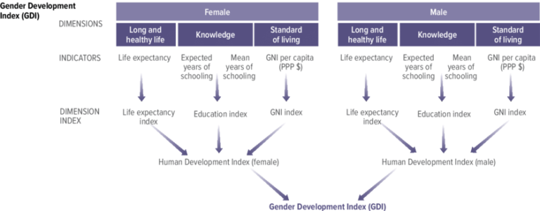 Decoding Gender Development Index: A Comprehensive Explanation