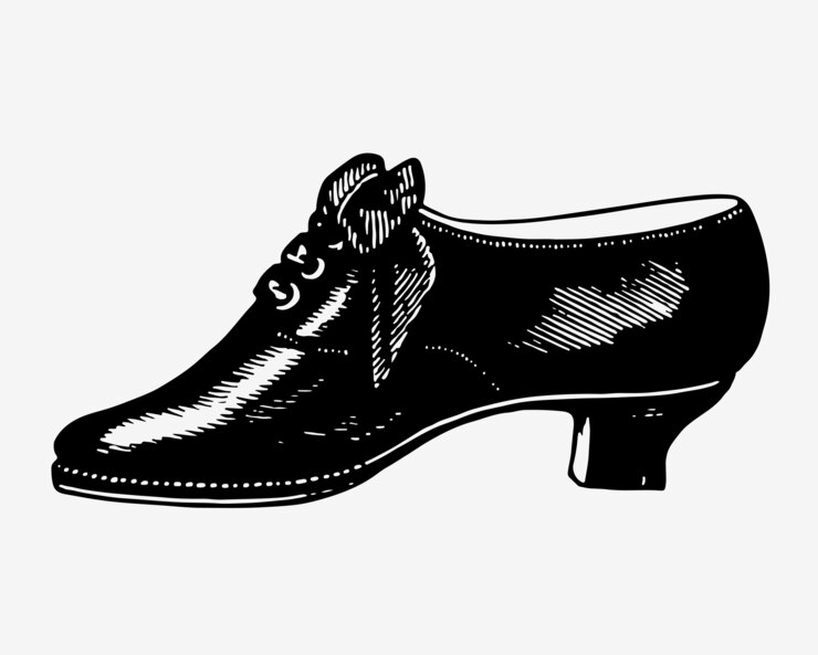 Shoe Horn: A Symphony of Style and Comfort