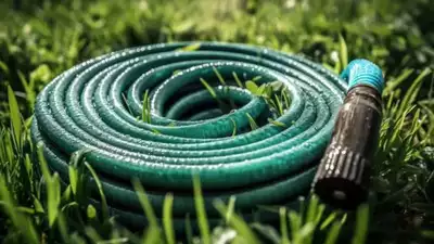 The Ultimate Guide to Choosing the Right Hose for Your Garden