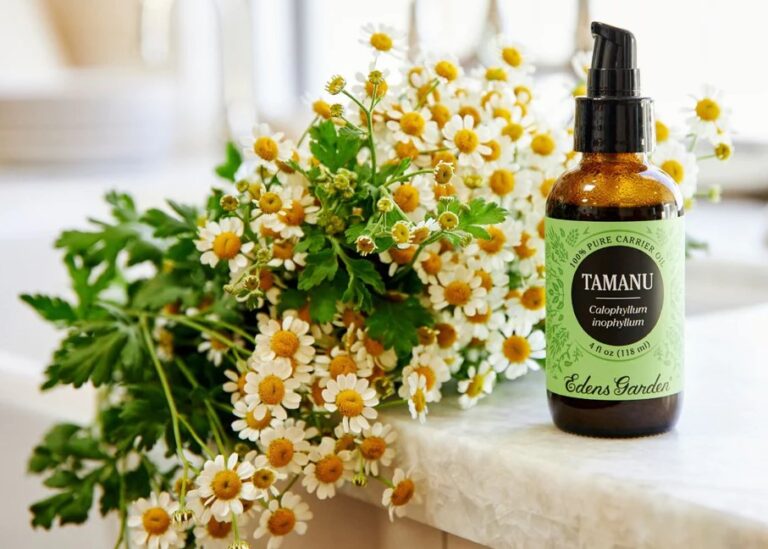 The Ultimate Guide to Tamanu Oil: Benefits, Uses, and How to Incorporate it into Your Beauty Routine