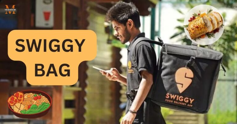 What Makes Swiggy Bag the Perfect Companion for Foodies on the Go