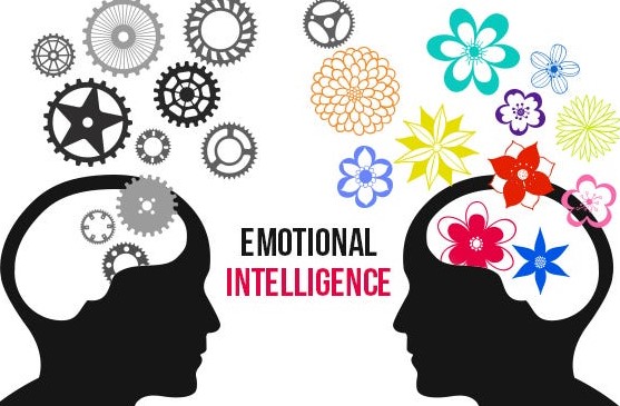 Emometre 101: Everything You Need to Know About Emotional Intelligence