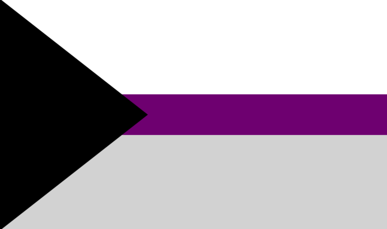 Demisexuality: Exploring the Demi Flag and What it Represents