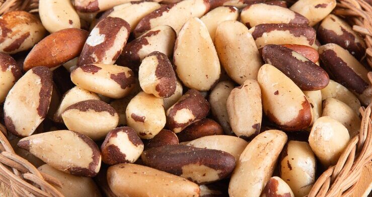 Cracking Open the Secrets: Unveiling the Fascinating History of Brazil Nuts in Shell