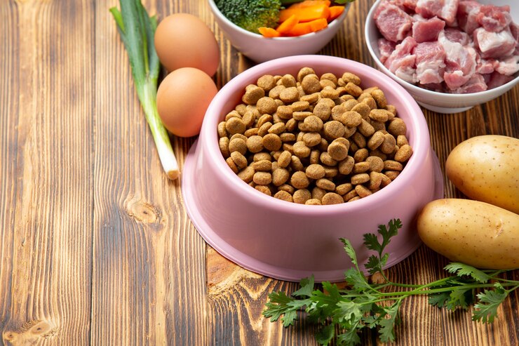 How Raw Cat Food Can Improve Digestion, Immunity, and Overall Well-being