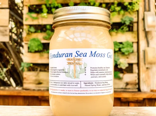 The Ultimate Guide to Honduran Sea Moss: Benefits, Uses, and More