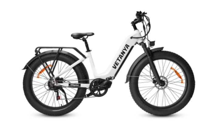 Electric Bike Buying Guide: How to Choose the Best E-Bike for Your Money