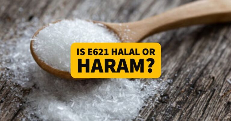 The Truth About E621 Halal or Haram?