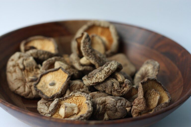 Product Launch Strategy to See the Market Potential of Medicinal Mushrooms in Mental Health