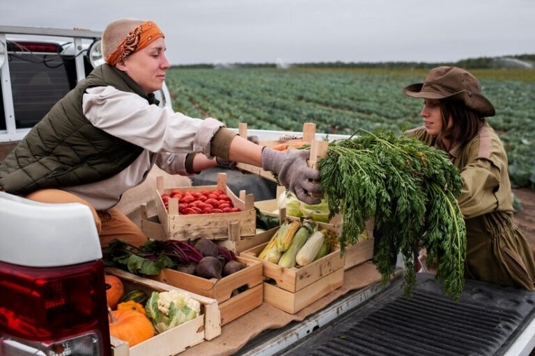 Fruit & Veggie Boxes