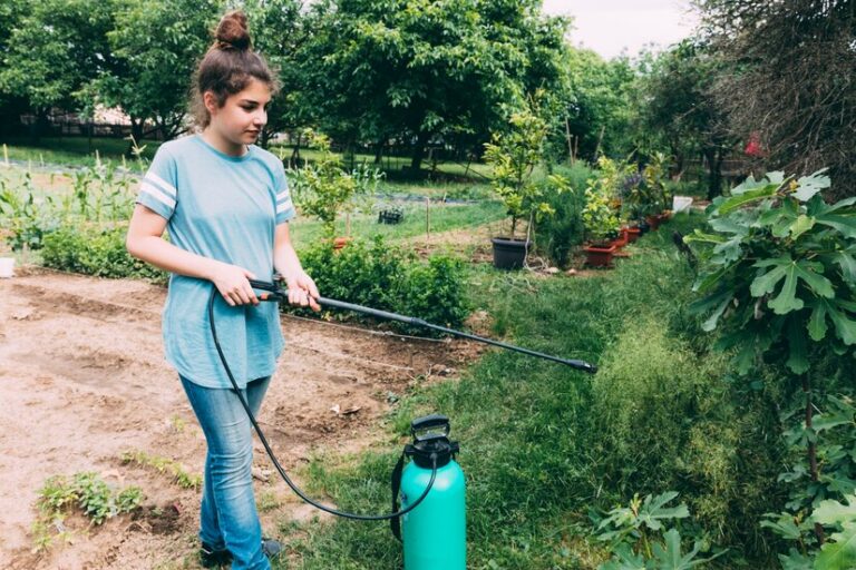 Protecting Your Lawn