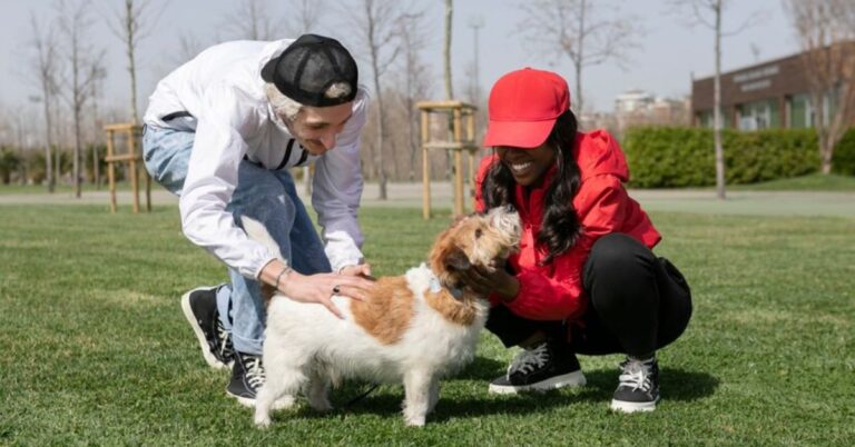 Why Dog Daycare Can Make a World of Difference for Your Pet