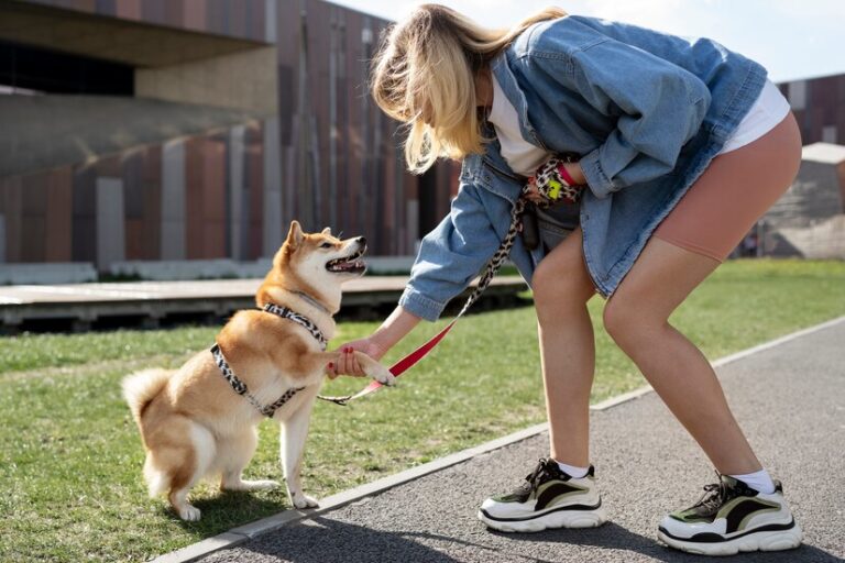 Say Goodbye to Leash Biting: Effective Methods to Stop Your Dog from Biting the Leash