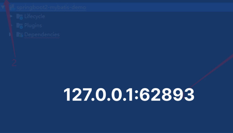 127.0.0.1:62893