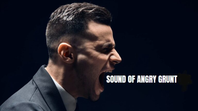 The Sound Of An Angry Grunt