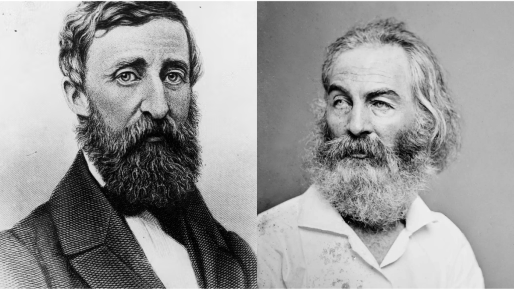 Influence of Walt Whitman and Henry David Thoreau