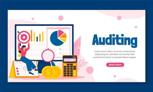 PPC Audits