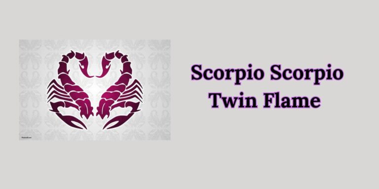 Scorpio Scorpio Twin Flame